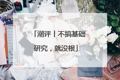 潮评丨不搞基础研究，就没根