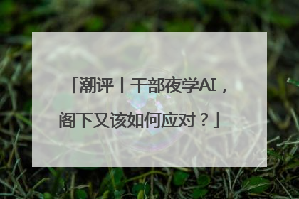 潮评丨干部夜学AI，阁下又该如何应对？