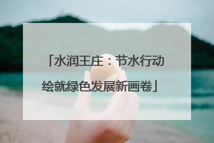 水润王庄：节水行动绘就绿色发展新画卷