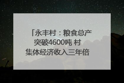 永丰村：粮食总产突破4600吨 村集体经济收入三年倍增｜牵挂的村