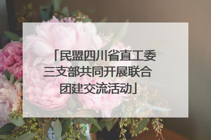 民盟四川省直工委三支部共同开展联合团建交流活动