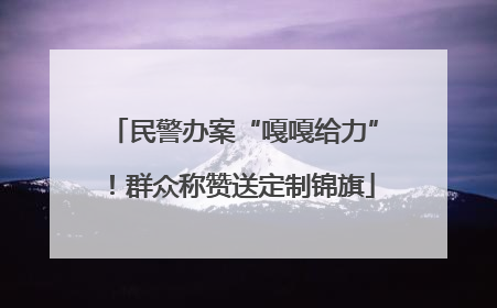 民警办案“嘎嘎给力”！群众称赞送定制锦旗