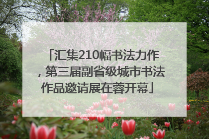 汇集210幅书法力作，第三届副省级城市书法作品邀请展在蓉开幕