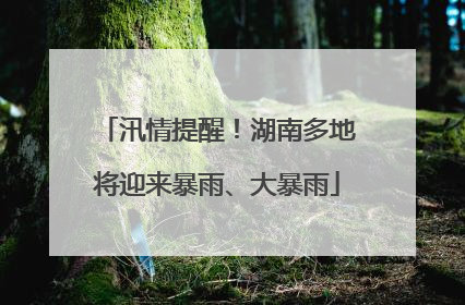 汛情提醒！湖南多地将迎来暴雨、大暴雨