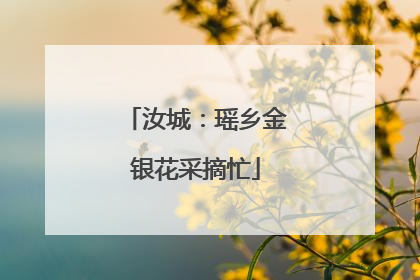 汝城：瑶乡金银花采摘忙