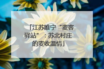 江苏睢宁“麦客驿站”：苏北村庄的麦收温情
