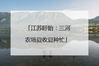 江苏盱眙：三河农场夏收夏种忙