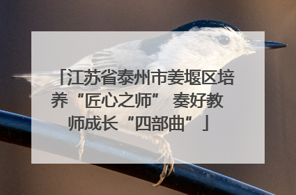 江苏省泰州市姜堰区培养“匠心之师” 奏好教师成长“四部曲”