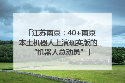 江苏南京：40+南京本土机器人上演现实版的“机器人总动员”