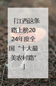 江西这条路上榜2024年度全国“十大最美农村路”