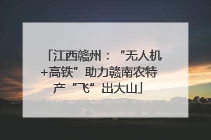 江西赣州：“无人机+高铁”助力赣南农特产“飞”出大山