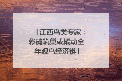 江西鸟类专家：彩鹮筑巢或撬动全年观鸟经济链