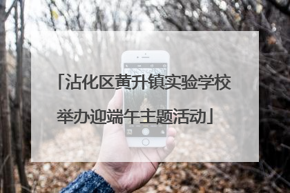 沾化区黄升镇实验学校举办迎端午主题活动