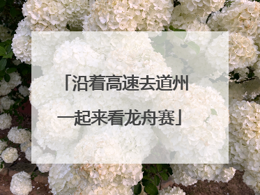沿着高速去道州 一起来看龙舟赛
