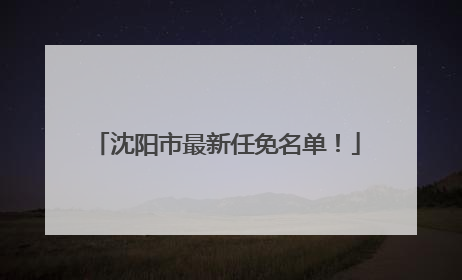 沈阳市最新任免名单！