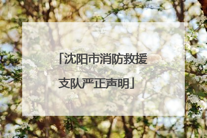 沈阳市消防救援支队严正声明