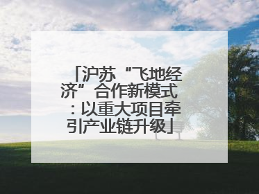 沪苏“飞地经济”合作新模式：以重大项目牵引产业链升级