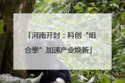 河南开封：科创“组合拳”加速产业焕新