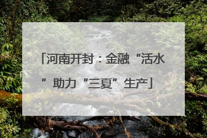 河南开封：金融“活水”助力“三夏”生产