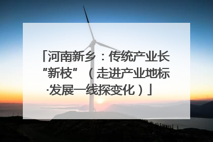 河南新乡：传统产业长“新枝”（走进产业地标·发展一线探变化）