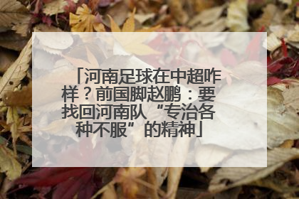河南足球在中超咋样？前国脚赵鹏：要找回河南队“专治各种不服”的精神