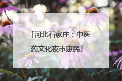 河北石家庄：中医药文化夜市惠民