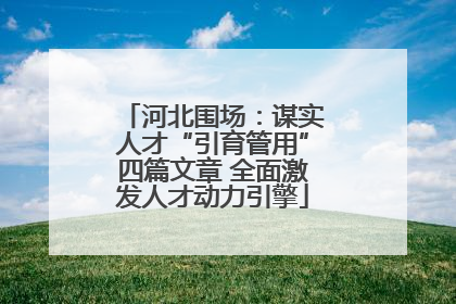 河北围场：谋实人才“引育管用”四篇文章 全面激发人才动力引擎