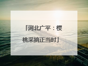 河北广平：樱桃采摘正当时