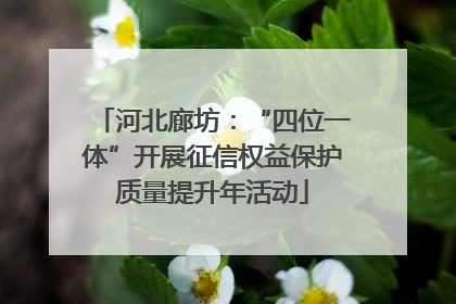 河北廊坊：“四位一体”开展征信权益保护质量提升年活动