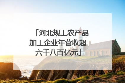河北规上农产品加工企业年营收超六千八百亿元