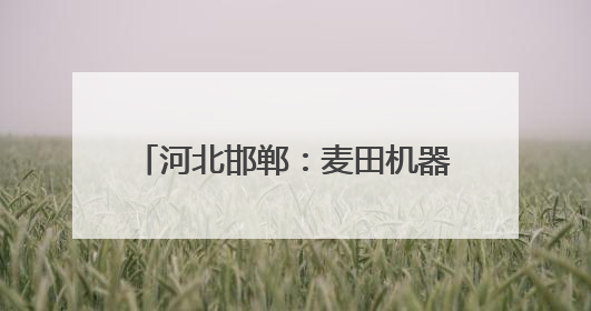 河北邯郸：麦田机器轰鸣 夏粮全面收割