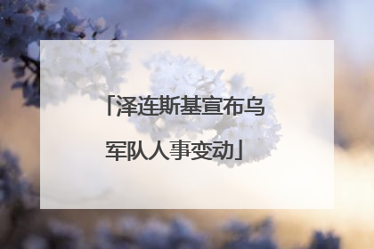 泽连斯基宣布乌军队人事变动