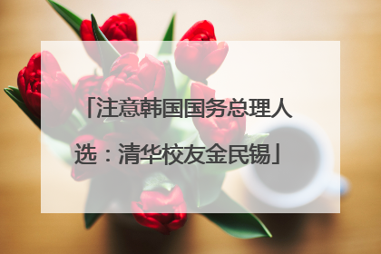 注意韩国国务总理人选：清华校友金民锡