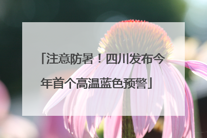 注意防暑！四川发布今年首个高温蓝色预警