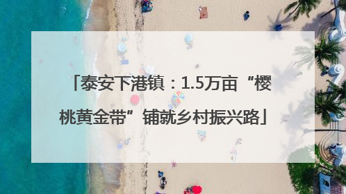 泰安下港镇：1.5万亩“樱桃黄金带”铺就乡村振兴路
