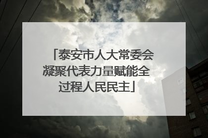 泰安市人大常委会凝聚代表力量赋能全过程人民民主