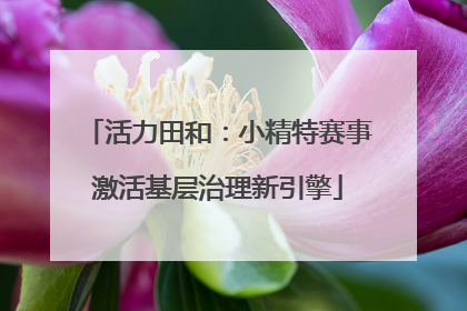 活力田和：小精特赛事激活基层治理新引擎