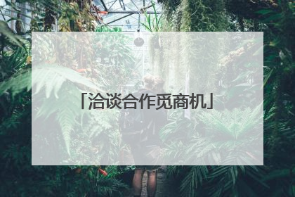 洽谈合作觅商机