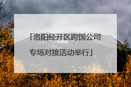 洛阳经开区跨国公司专场对接活动举行