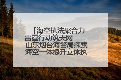 海空执法聚合力 雷霆行动筑天网——山东烟台海警局探索海空一体提升立体执法效能纪实