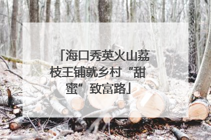 海口秀英火山荔枝王铺就乡村“甜蜜”致富路
