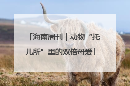 海南周刊｜动物“托儿所”里的双倍母爱