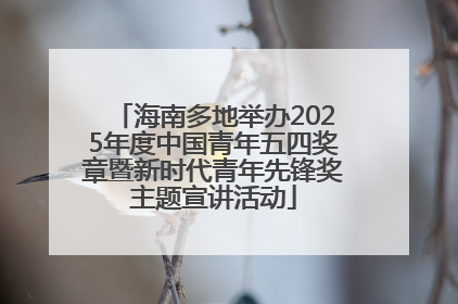 海南多地举办2025年度中国青年五四奖章暨新时代青年先锋奖主题宣讲活动