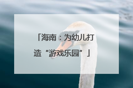 海南：为幼儿打造“游戏乐园”