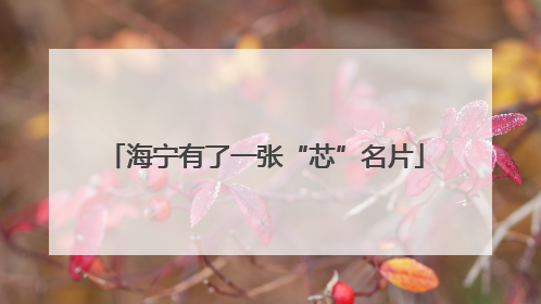 海宁有了一张“芯”名片