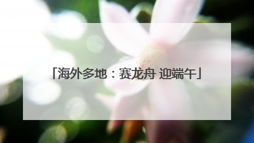 海外多地：赛龙舟 迎端午