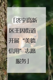 济宁高新区王因街道开展“美德信用”志愿服务