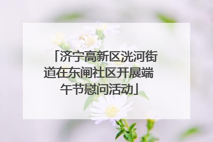 济宁高新区洸河街道在东闸社区开展端午节慰问活动