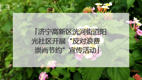 济宁高新区洸河街道阳光社区开展“反对浪费 崇尚节约”宣传活动