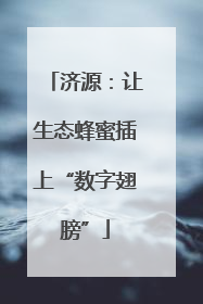 济源：让生态蜂蜜插上“数字翅膀”